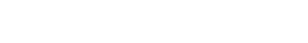 TDI 24H CriticalExpress